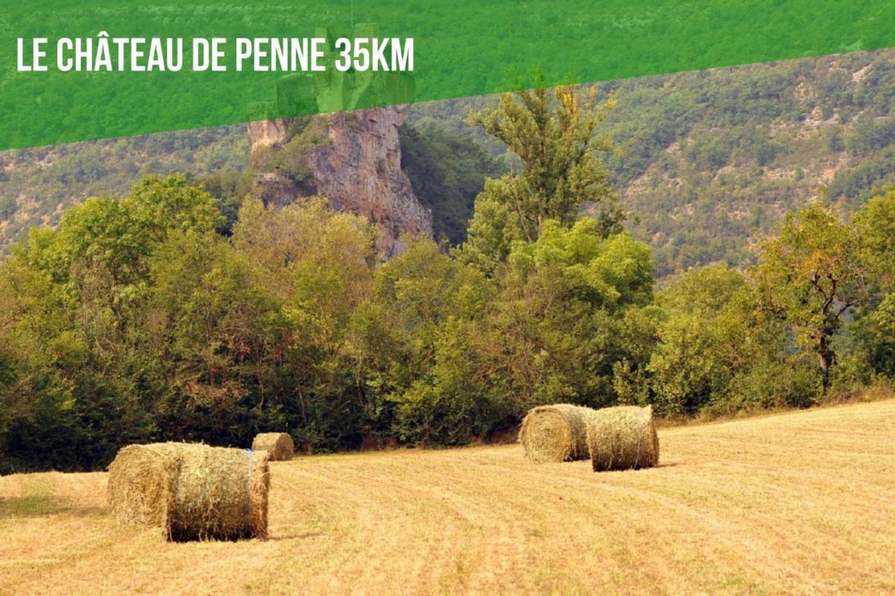 Le Gîte Nature Bien-Etre du Tarn entre Toulouse et Albi Peyrole Extérieur photo