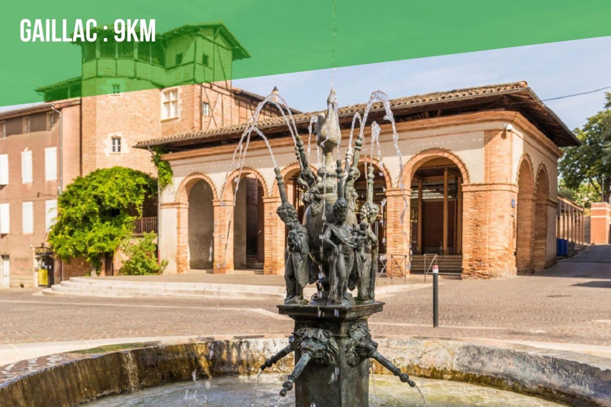 Le Gîte Nature Bien-Etre du Tarn entre Toulouse et Albi Peyrole Extérieur photo