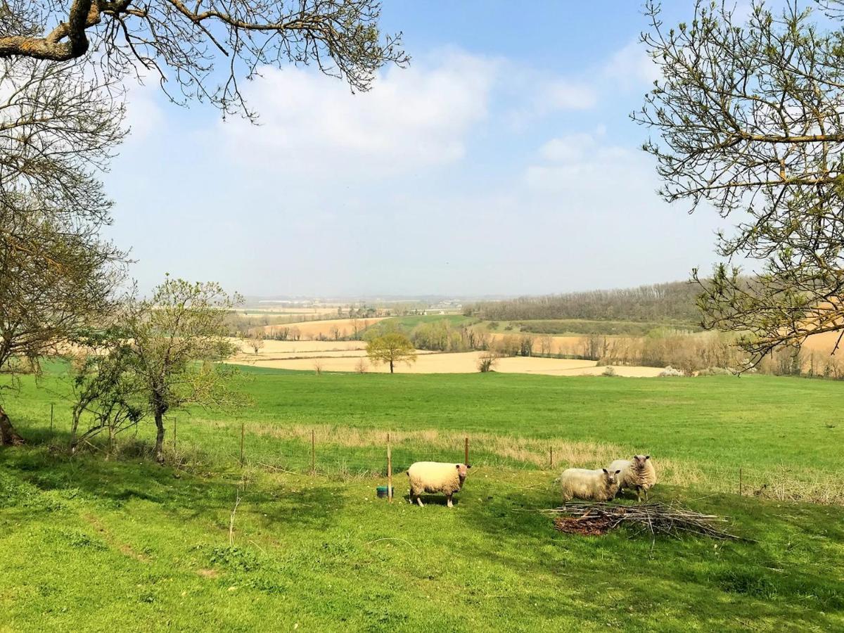 Le Gîte Nature Bien-Etre du Tarn entre Toulouse et Albi Peyrole Extérieur photo