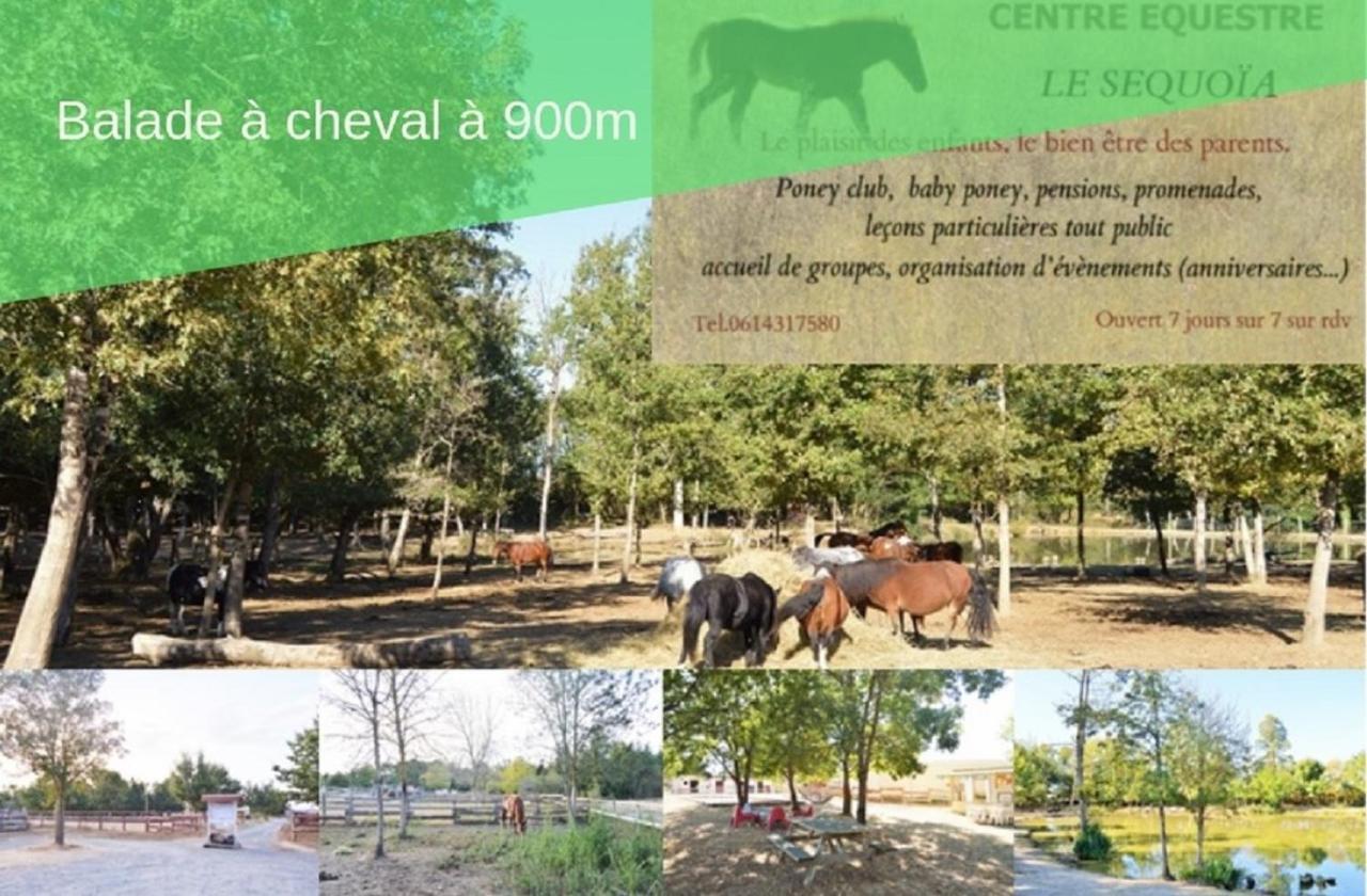 Le Gîte Nature Bien-Etre du Tarn entre Toulouse et Albi Peyrole Extérieur photo